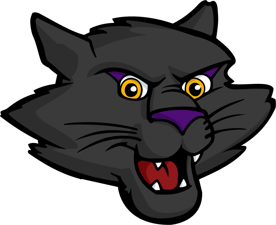 Northern Iowa Panthers 2021-Pres Mascot Logo v2 diy iron on heat transfer